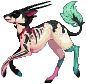 kin image