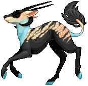 kin image