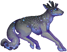 kin image