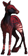 kin image