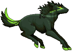 kin image