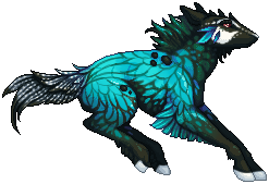 kin image