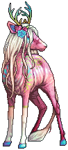 kin image