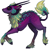 kin image