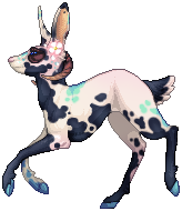Starlit Ears