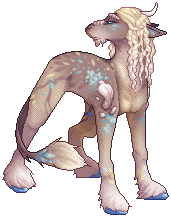 kin image