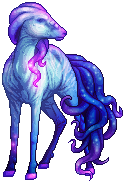 kin image