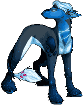 kin image