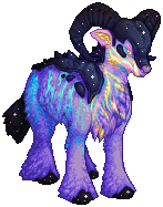 kin image